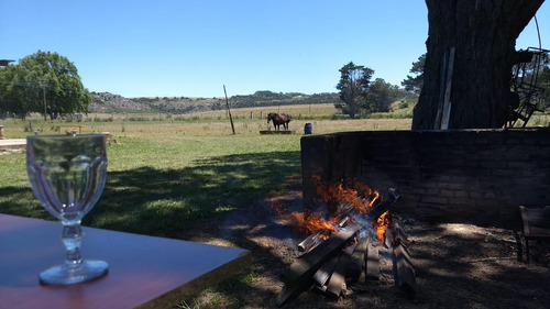 Campo En Venta Provincia De Buenos Aires Ruta 226
