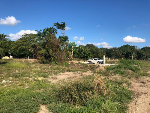 Venta De Lotes Frente Al Rio Juana Moza Tuxpan Veracruz