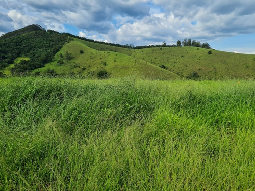 Imagem 7 de 8 de Chácara Rural Pindamonhangaba - Sp - Piracuama - Ch-11600