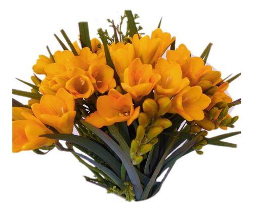 15 Bulbos Fresia Amarilla Para Jardín