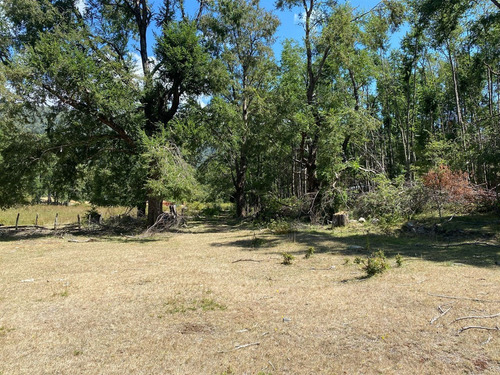 Parcela En Venta De 1 Hectarea Con Dos Casas Nuevas
