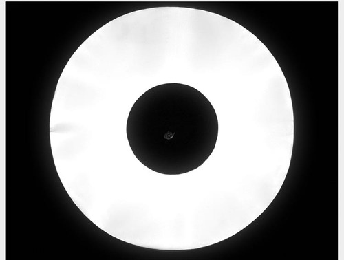 Difusor Softbox Para Flash Fuera De Camara Plegable