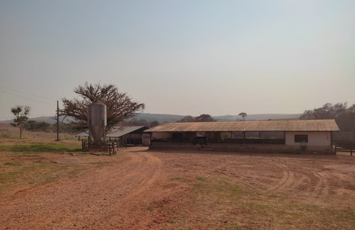Imagem 4 de 14 de Vendo Fazenda Para Cultura Regiao De Araxa ( 6156 )