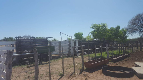 Campo En Venta Villa Quilino - Campo Ganadero Con 2 Casas