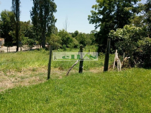 Imagem 5 de 13 de Chácara Para Venda - 1534