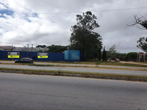 Imagen 3 de 19 de Camino Carrasco Prox Aeropuerto , Predio De 10000 M2 Y 4000 M2 De Depósitos !!