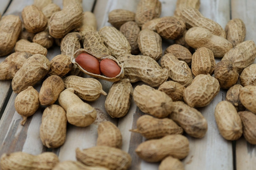 Imagen 4 de 8 de Semillas De Mani Cacahuate Para Tu Huerta
