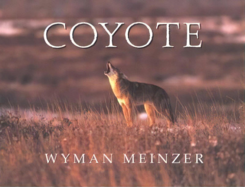 Coyote, De Wyman Meinzer. Editorial Texas Tech Press U S, Tapa Blanda En Inglés