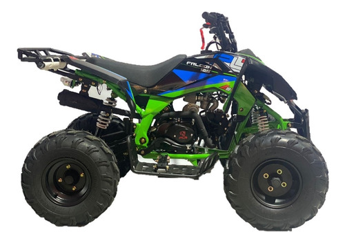 Imagen 8 de 14 de Cuatrimoto Moto Plr 125cc Raptor Motor 4t