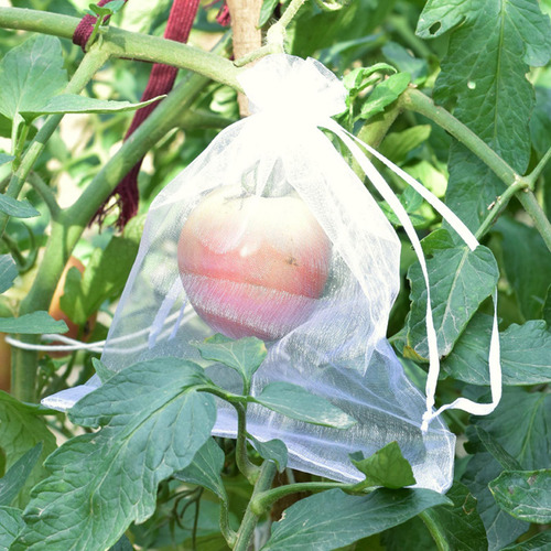 100 Piezas Bolsas De Protección De Frutas De Uva 10cmx12cm