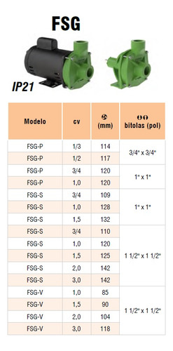 Motobomba Centrífuga Água Limpa Fsg-p 1cv Motor Weg Famac