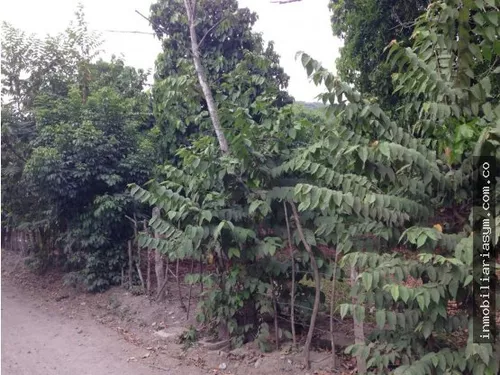 Venta Lote En Sopetran Ant. Suburbano.