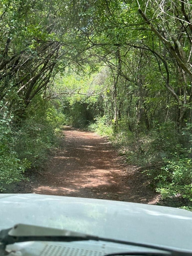 Rancho A 50 Minutos De Merida Yucatan Propiedad Privada 60 H