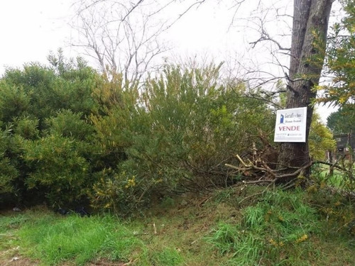 Imagen 4 de 5 de Lote De 10 X 40 En Las Toninas