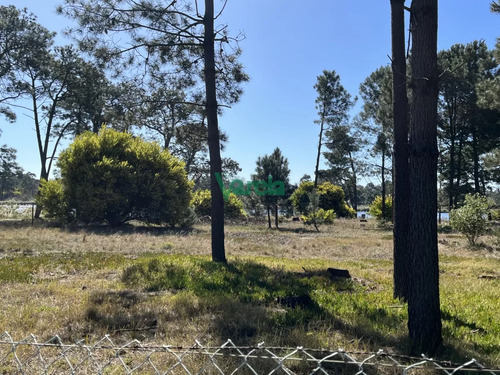 Terreno De 5608 M2 Pinar Sur , En Venta .