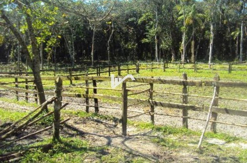 Imagem 5 de 14 de Sítio No Jardim Coronel Em Itanhaém