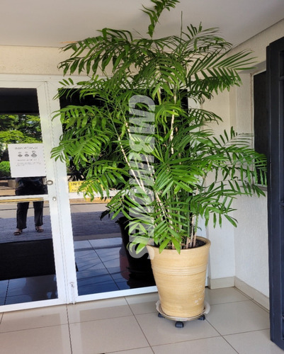 Imagem 6 de 16 de Sala Comercial Para Locação Na Vila Itapura Em Campinas - Sa04436 - Sa04436 - 70339711