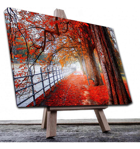 Cuadro Decorativo Canvas Paisaje De Arboles En Otoño