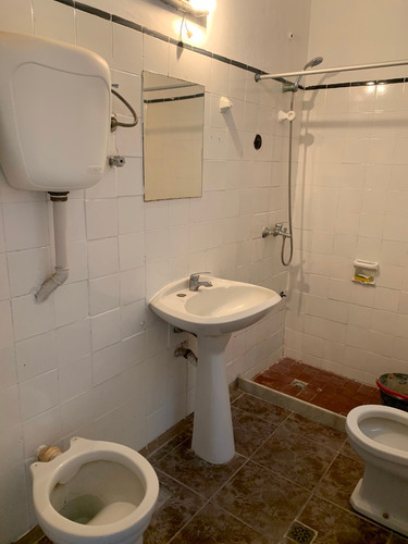 Apartamento Alquiler 1 Dormitorio Con Patio Planta Baja