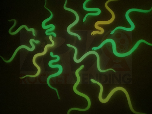 Serpientes Brillan En La Oscuridad Fosforescente 100 Pzas