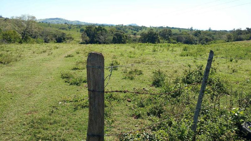 Vendo Rancho Ganadero 223 Hectáreas Temapache Veracruz