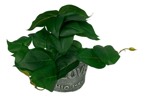 Arranjo De Flor Decorativa Jiboia 19x09cm - Vencedor