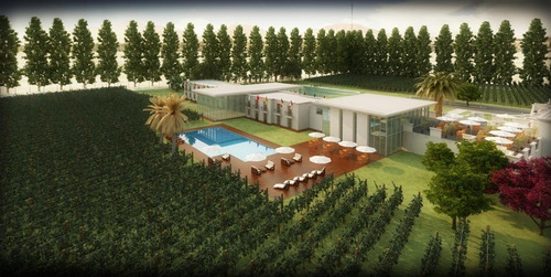 Bodega Y Finca En Venta