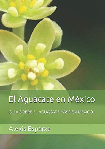 El Aguacate En Mexico: Guia Sobre El Aguacate Hass En Mexico