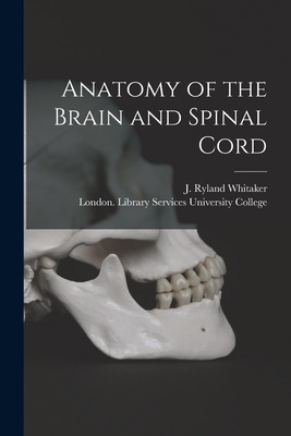 Libro Anatomy Of The Brain And Spinal Cord [electronic Re...