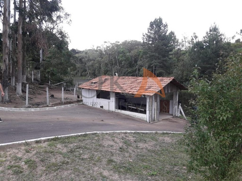 Chácara 4.000m², 02 Casas, Tanque De Peixe, Em Campestrinho - Mandirituba/pr. - Cha007 - 68995278