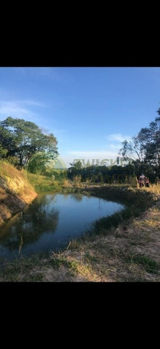 Imagem 10 de 24 de Excelente Sítio À Venda Com Ponto Comercial - Distrito De Piramboia - Anhembisp - 00038