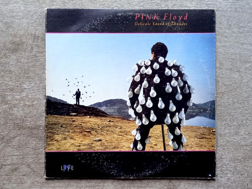 Disco Lp Pink Floyd - Delicate Sound Of Thunder (1988) R5