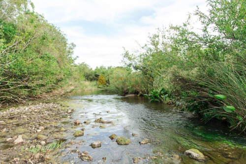 Campo De 86 Has Ganadero, Cuenta Con Tajamar Y Costa De Arroyo. Consulte!!!!!!- Ref: 2366