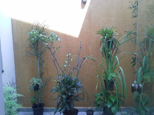 Imagem 6 de 30 de Vendo Excelente Casa No Jardim Paulista I Em Jundiaí, A Cem Metros Da Av. 9 De Julho, Quatro Dormitórios. - Ca00042 - 2451799