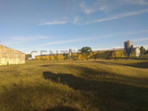 Venta Chacra Avícola Y Productiva En Canelones