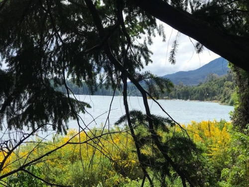 Imagen 3 de 10 de Villa La Angostura - Lote - 2933m2 - Sobre Ruta 40 - Nuevo Loteo Exclusivo -