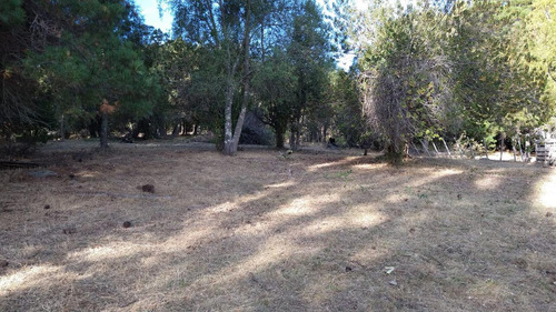 Chacra - Las Golondrinas