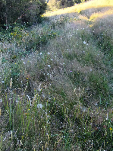 Terreno Amplio Para Proyecto De Ensueño (149130)
