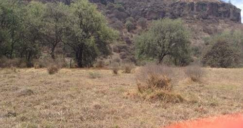 Terreno Rustico En Renta  9.000 M2   Rincon Verde