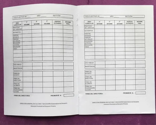 Boletín Primaria Primer Ciclo Pcia Bs As