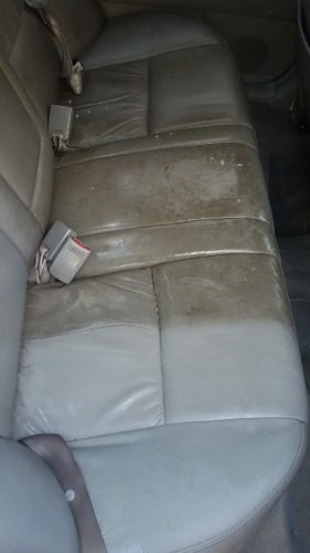 Imagen 5 de 6 de Limpieza De Tapizados Autos Lavado De Autos A Domicilio