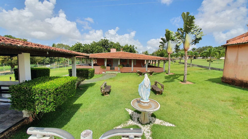 Granja Em Ceará-mirim/rn, Apenas 38km De Natal. Rio Perene