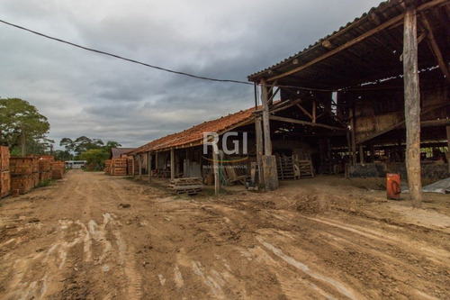 Terreno Em Ponta Grossa - El56354700