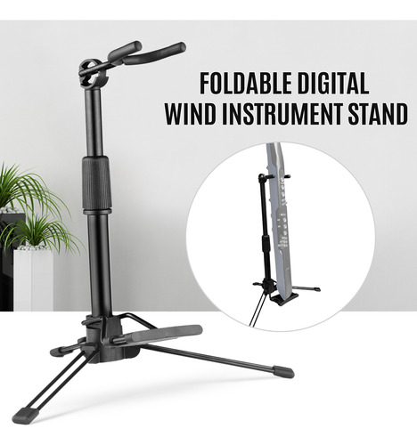 Soporte De Soporte Para Instrumentos, Aerófono De Viento Ple
