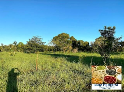Imagem 8 de 15 de Fazenda A Venda No Formoso Do Araguaia-to-de 240 Alqueirões (dupla Aptidão) - 1669