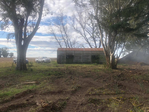 Imagen 9 de 10 de Campo 93 Hectareas