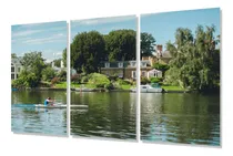 Comprar Cuadro Trip 60x90 Unidad En Movimiento Remeros Remos P4