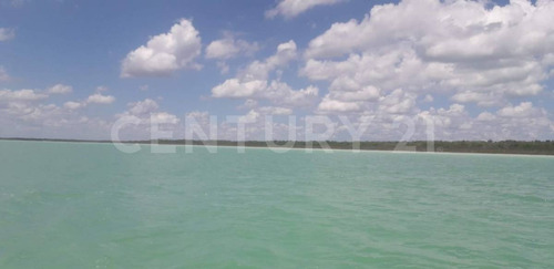 Imagen 17 de 18 de Terreno En Venta Frente A Laguna Chile Verde Cerca De Chetumal Em02021