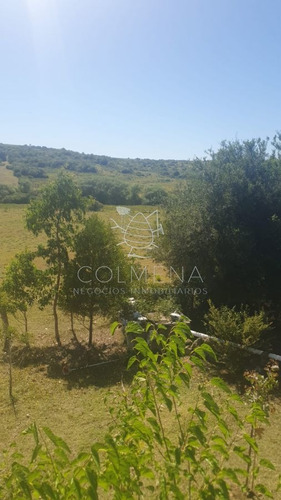 Imagen 4 de 19 de Campo 7 Has Con 1333 M2 Cerca De Aigua