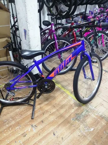 Bicicleta Todoterreno Mtb Rin24 Ni o Ni a Marco Acero 18 Vel 559.900